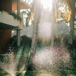 water sprinklers watering a garden early in the morning