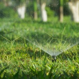 a water sprinkler on grass