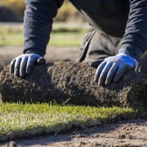 a man laying a new lawn